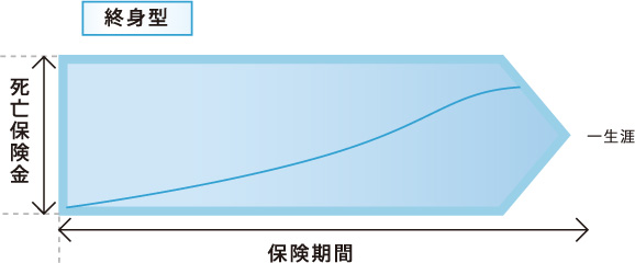 終身型グラフ